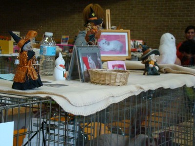 20121021_147 (Expo)
